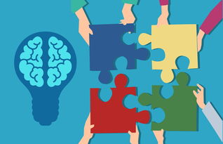 华体会网站-青少年运动损伤防护知识普及策略及效果评估，青少年运动损伤防护知识普及策略及效果评估