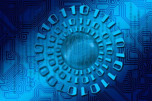 华体会app登入-大数据应用助力训练科学管理，大数据在训练管理中的应用